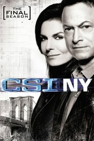 Assistir CSI: Nova York Online Grátis